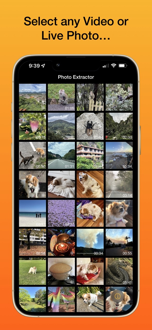 Photo Extractor Screenshot 2